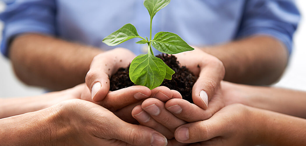 Community Development