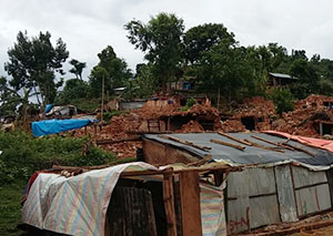 Shelter Provision