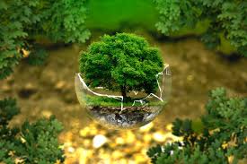 Environment Protection